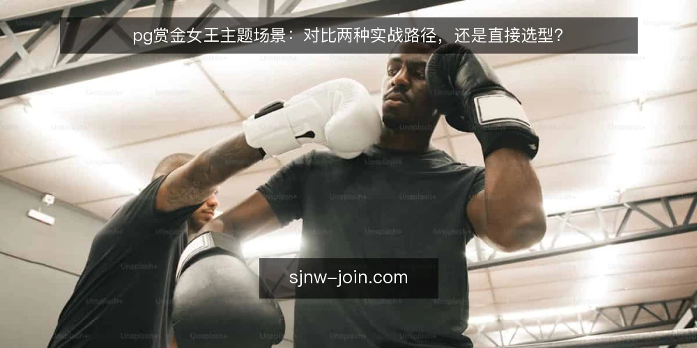pg赏金女王主题场景:对比两种实战路径,还是直接选型? — 场景设定:从一次主题实战需求出发 配图