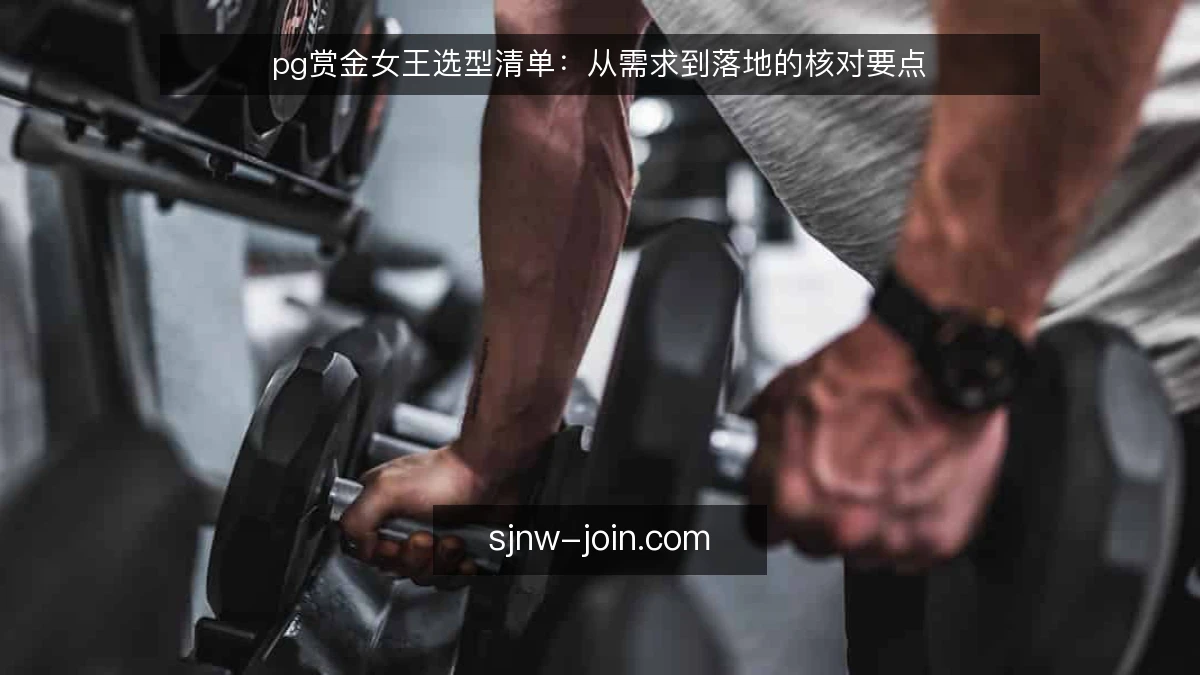pg赏金女王选型清单:从需求到落地的核对要点