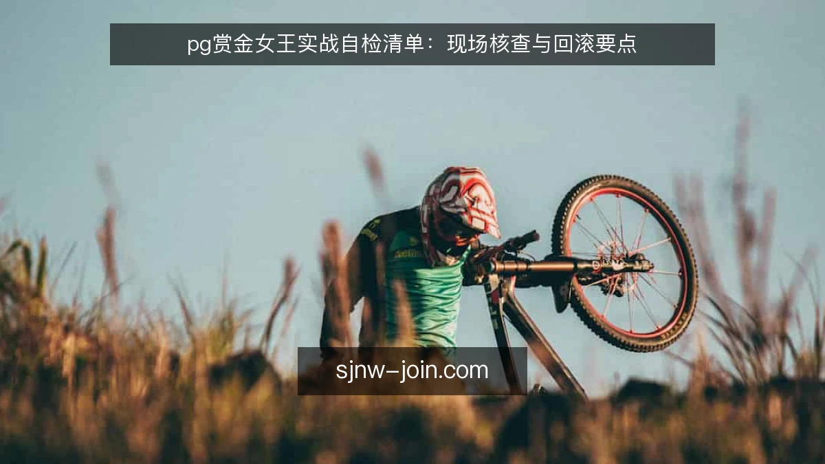 pg赏金女王实战自检清单：现场核查与回滚要点